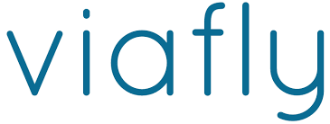 viafly cordless vacuum